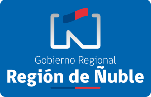 Logo GORE Ñuble