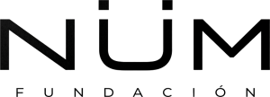 num-fundacion-logo-transparent